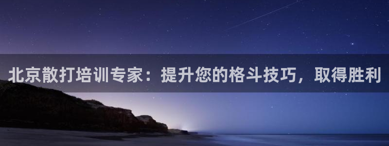 欧陆娱乐官网网址大全：北京散打培训专家：提升您的格斗