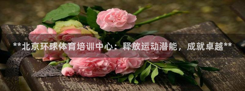 欧陆娱乐总代