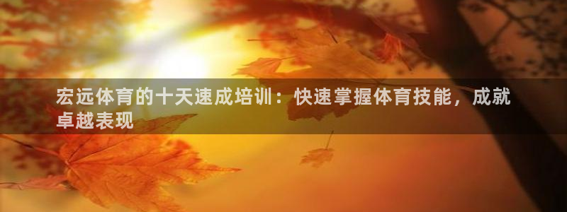 欧陆娱乐不让提现怎么办：宏远体育的十天速成培训：快速
