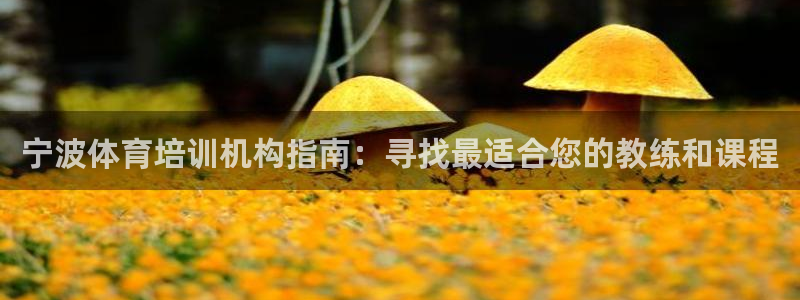 欧陆娱乐注册链接安全吗是真的吗：宁波体育培训机构指南