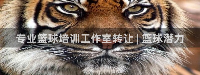 欧陆娱乐稳中：专业篮球培训工作室转让 | 篮球潜力