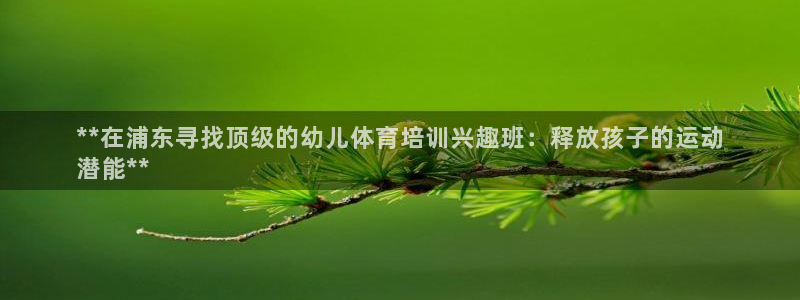 欧陆娱乐有限公司招聘：**在浦东寻找顶级的幼儿体育培