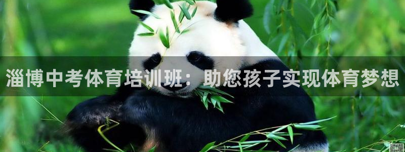欧陆娱乐登录平台有哪些：淄博中考体育培训班：助您孩子