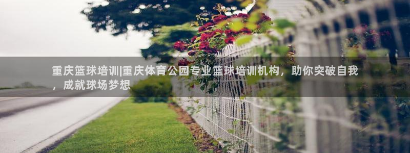欧陆娱乐共创美好时刻：重庆篮球培训|重庆体育公园专业