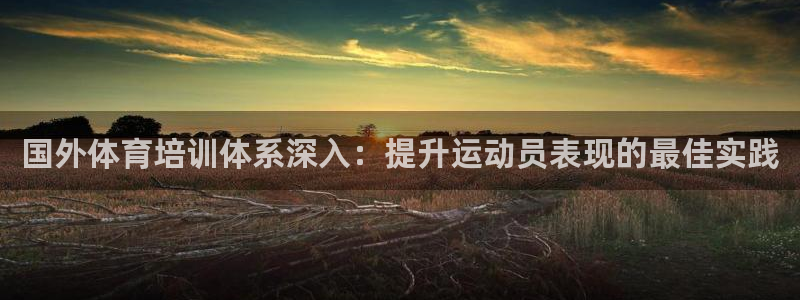 欧陆官方网站：国外体育培训体系深入：提升运动员表现的