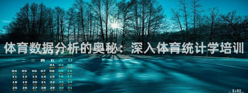 欧陆娱乐打什么方案赚钱：体育数据分析的奥秘：深入体育