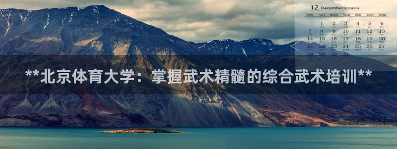 欧陆娱乐登录测速怎么关闭：**北京体育大学：掌握武术