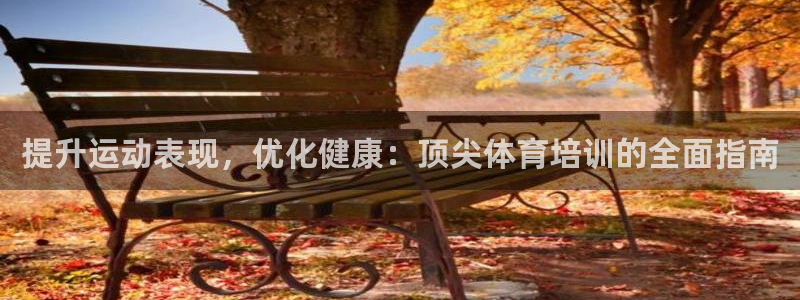 欧陆娱乐代理多少个点位可以赚钱：提升运动表现，优化健