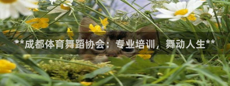 欧陆娱乐中国：**成都体育舞蹈协会：专业培训，舞动人