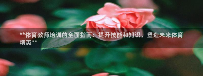 欧陆娱乐提现两百万：**体育教师培训的全面指南：提升