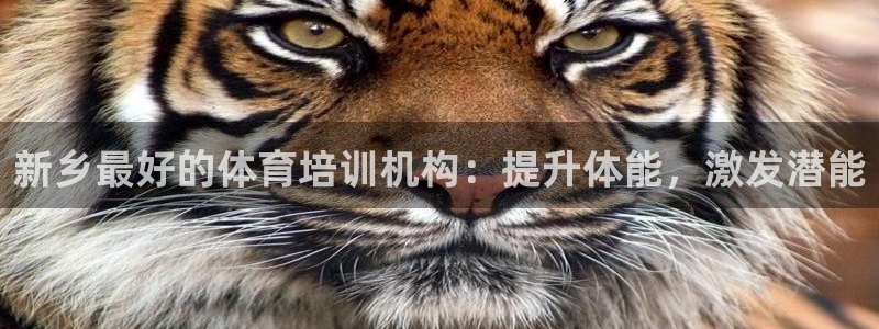 欧陆娱乐怎么注册会员的：新乡最好的体育培训机构：提升