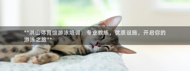 欧陆娱乐代理多少个点位可以赚钱：**洪山体育馆游泳培