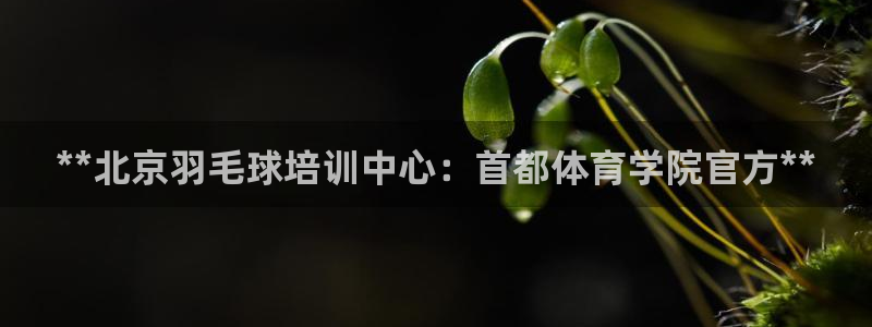 欧陆娱乐平台总代理：**北京羽毛球培训中心：首都体育