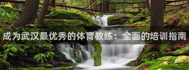 欧陆娱乐注册代理多少钱：成为武汉最优秀的体育教练：全