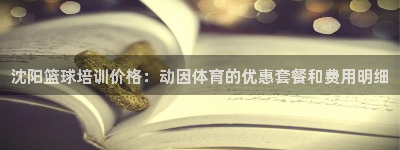 欧陆娱乐app下载：沈阳篮球培训价格：动因体育的优惠