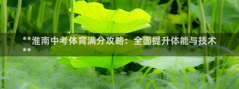 欧陆公司在哪里：**淮南中考体育满分攻略：全面提升体