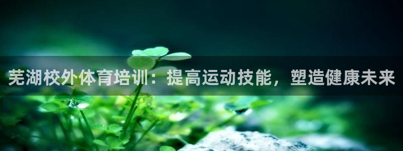 重庆欧陆娱乐有限公司怎么样：芜湖校外体育培训：提高运