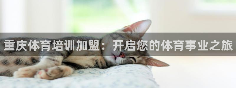 欧陆娱乐登陆平台有哪些：重庆体育培训加盟：开启您的体