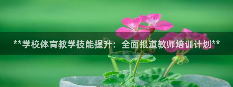 欧陆娱乐登录平台有哪些：**学校体育教学技能提升：全