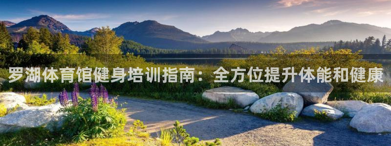 欧陆娱乐app攻略大全：罗湖体育馆健身培训指南：全方