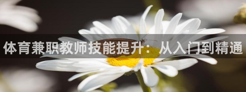 欧陆娱乐客服服务：体育兼职教师技能提升：从入门到精通