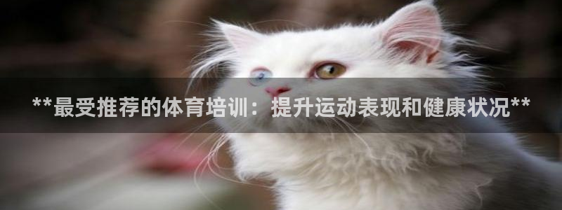 欧陆娱乐是正规平台吗安全吗：**最受推荐的体育培训：