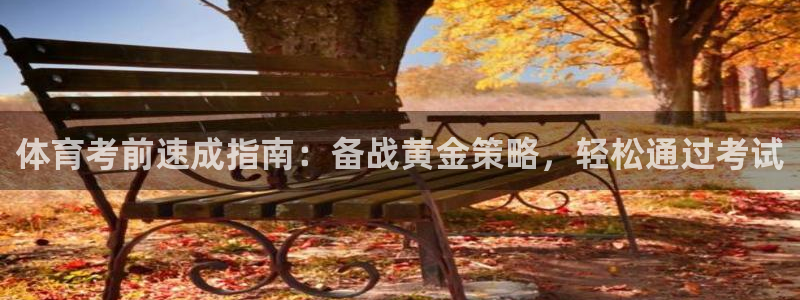 欧陆娱乐平台官网：体育考前速成指南：备战黄金策略，轻