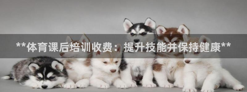 欧陆娱乐登陆平台：**体育课后培训收费：提升技能并保