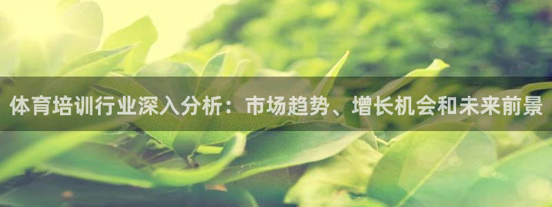 欧陆娱乐不让提现怎么办：体育培训行业深入分析：市场趋