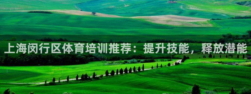 欧陆娱乐合法吗?：上海闵行区体育培训推荐：提升技能，