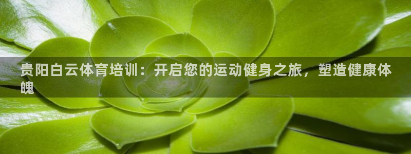 欧陆娱乐太阳：贵阳白云体育培训：开启您的运动健身之旅