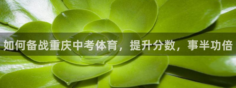 重庆欧陆娱乐有限公司怎么样：如何备战重庆中考体育，提