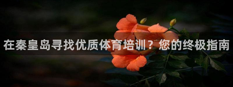 欧陆娱乐挂机项目：在秦皇岛寻找优质体育培训？您的终极