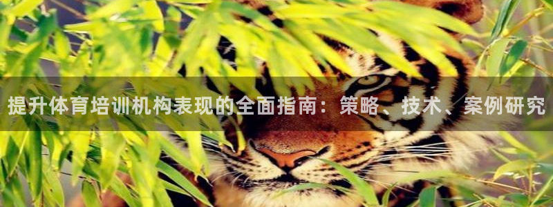 欧陆娱乐官网注册中心在哪：提升体育培训机构表现的全面