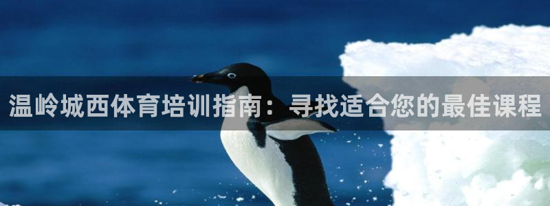 欧陆娱乐官方客服电话：温岭城西体育培训指南：寻找适合