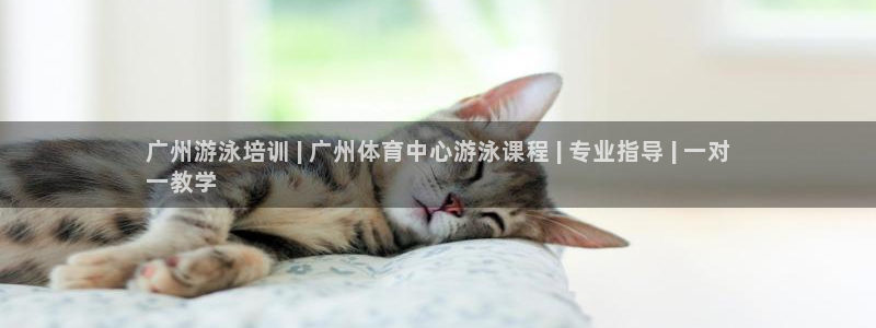 欧陆娱乐能赚钱吗知乎：广州游泳培训 | 广州体育中心