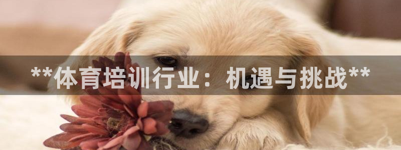 欧陆娱乐脚本怎么用：**体育培训行业：机遇与挑战**