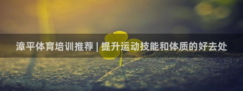 欧陆娱乐公司产品介绍大全：漳平体育培训推荐 | 提升