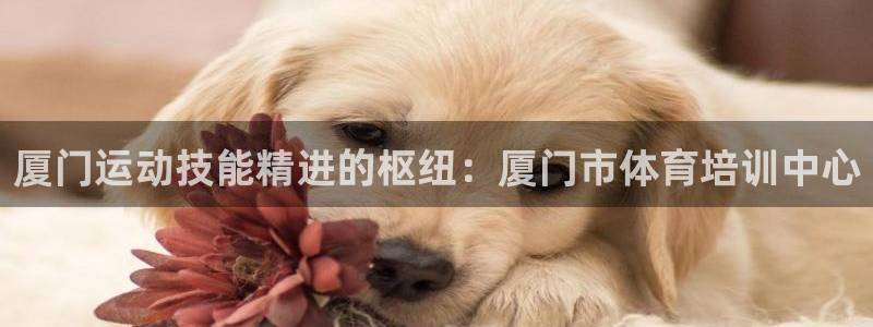 欧陆娱乐注册代理多少钱：厦门运动技能精进的枢纽：厦门
