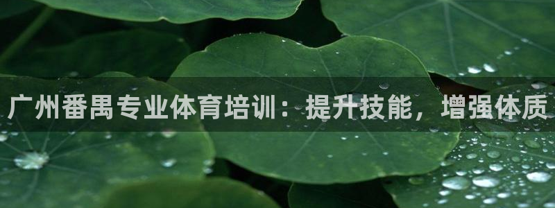 欧陆娱乐能提现嘛安全吗：广州番禺专业体育培训：提升技