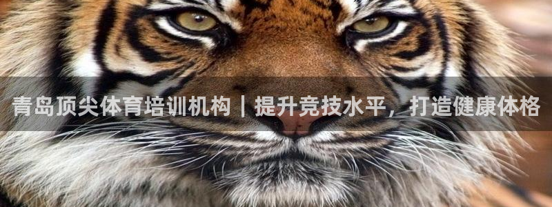 欧陆娱乐登录注册平台：青岛顶尖体育培训机构｜提升竞技