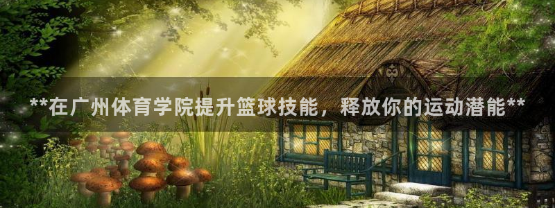 欧陆娱乐客服服务：**在广州体育学院提升篮球技能，释