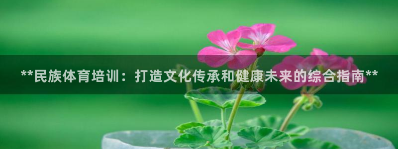 重庆欧陆娱乐有限公司怎么样：**民族体育培训：打造文