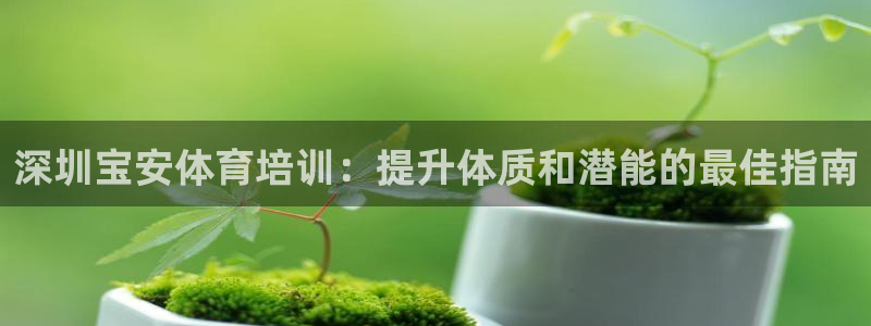 欧陆娱乐能提现嘛?：深圳宝安体育培训：提升体质和潜能