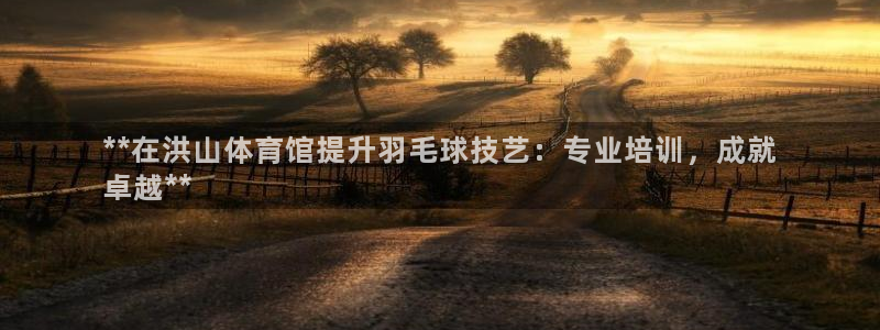 欧陆娱乐测试网站：**在洪山体育馆提升羽毛球技艺：专