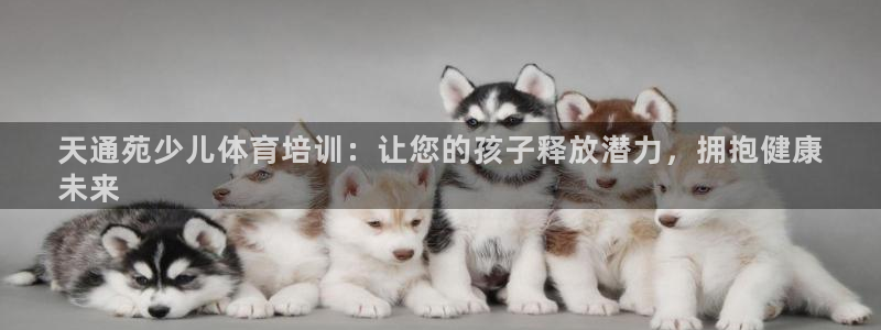 欧陆娱乐注册代理：天通苑少儿体育培训：让您的孩子释放