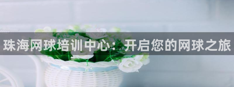 欧陆娱乐平台登陆地址是什么：珠海网球培训中心：开启您