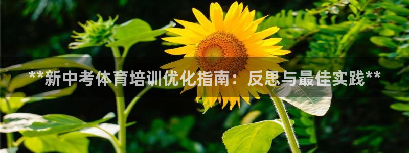 欧陆娱乐平台登陆地址在哪里：**新中考体育培训优化指