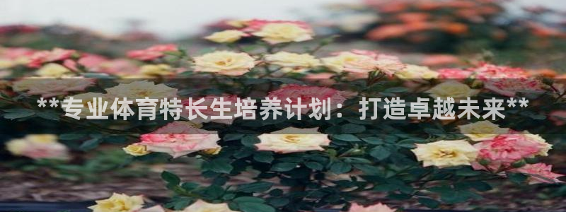 欧陆娱乐公司产品介绍大全：**专业体育特长生培养计划
