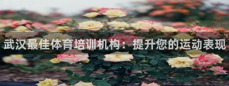 欧陆娱乐怎么注册帐号啊：武汉最佳体育培训机构：提升您的运动表